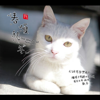 《春?夏?秋?冬》( CD 版 )<br>The Beauty Of Seasons / 作曲：藤原育郎