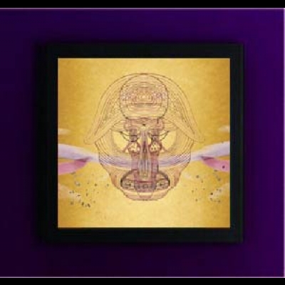 【特價商品】德文卓．班哈特：我們的未來 ( 180 克 2 LPs )<br>Devendra Banhart：What Will We Be<br>創意黑膠掛框黑白自由選<br>( 線上試聽 )