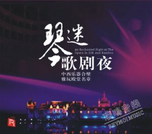 琴迷歌劇夜 (德國版 CD )(線上試聽)產品圖