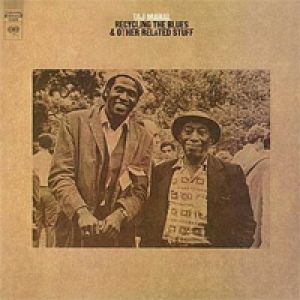 泰吉．馬哈：藍調再生 （180 克 45 轉 2LPs）<br>Taj Mahal: Recycle產品圖